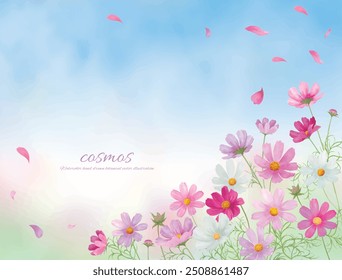 
Watercolor hand drawn pink cosmos flowers background illustration