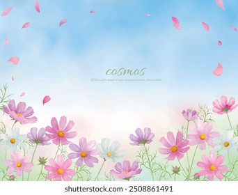 
Watercolor hand drawn pink cosmos flowers background illustration