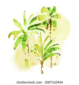 Watercolor hand drawn poster with exotic stylized palm trees and splash. Abstract summer tropical background in green colors. Botanical design for t-shirt print, pillow, postcard, poster.