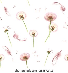 Watercolor hand drawn seamless pattern with feathers and spring tender flowers - dandelions on the white background