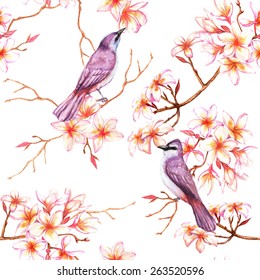 Watercolor hand drawn seamless pattern with tropical summer flowers of plumeria and exotic violet birds