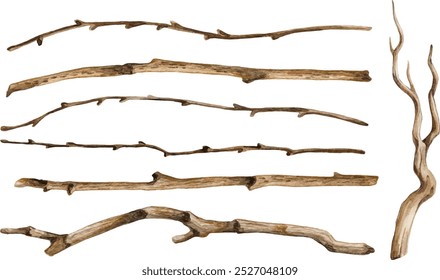 Watercolor hand drawn set of dry tree branches. Colorful collection of sticks and twigs on a white background