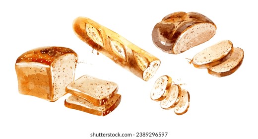 Watercolor hand drawn sketch bread set. Painted vector isolated illustration on white background for packaging design