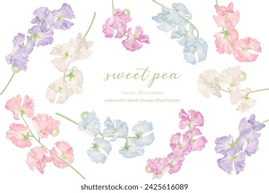 Watercolor hand drawn sweet pea illustration frame material set