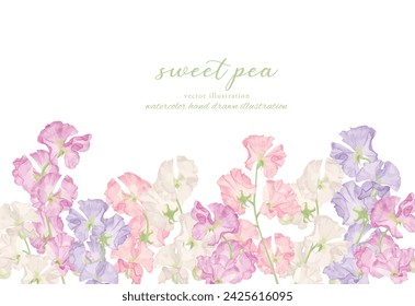 Watercolor hand drawn sweet pea illustration frame material set