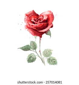 Watercolor hand drawn vector heart-shaped rose.