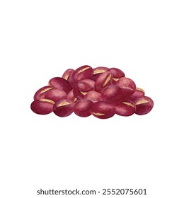 Watercolor hand drawn vector illustration of azuki bean