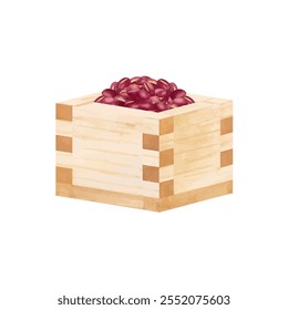 Watercolor hand drawn vector illustration of azuki bean