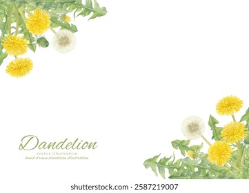 Watercolor hand drawn vector illustration frame with dandelion flowers and fluff