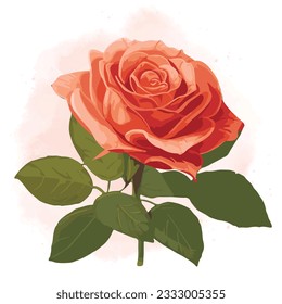 Watercolor hand drawn vector rose.
