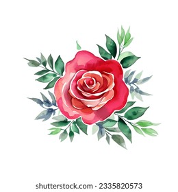 Rosa del vector dibujado a mano con acuarela.