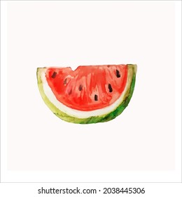  watercolor hand drawn watermelon isolated on white background