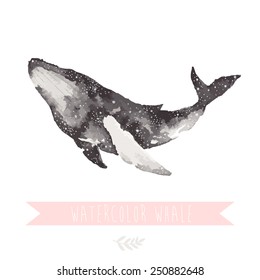 watercolor hand drawn whale on white background