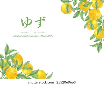 Watercolor hand drawn yuzu vector illustration set Translation: Yuzu