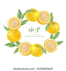 Watercolor hand drawn yuzu vector illustration set Translation: Yuzu