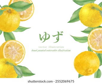 Watercolor hand drawn yuzu vector illustration set Translation: Yuzu