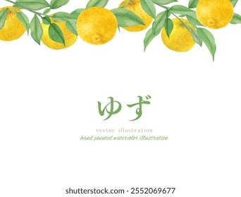 Watercolor hand drawn yuzu vector illustration set Translation: Yuzu