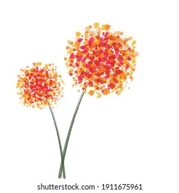 Watercolor hand drew spring tender flowers - dandelions on the white isolated vector illustration background. Perfect for cards, cover, textile.
