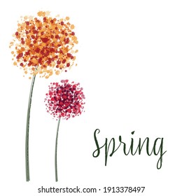 Watercolor hand drew spring tender flowers - dandelions on the white isolated vector illustration background. Perfect for cards, cover, textile.
