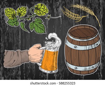 Watercolor hand holding with beer mug, barrel, hops, ears in graphic style vector illustration