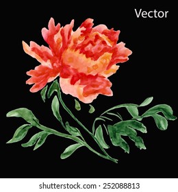 Watercolor hand pain flower. Vector illustration.
