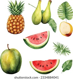 Watercolor hand painted fruit set pineapple, banana, pomegranate, mango, cherry, watermelon and tropical fruits on white background.