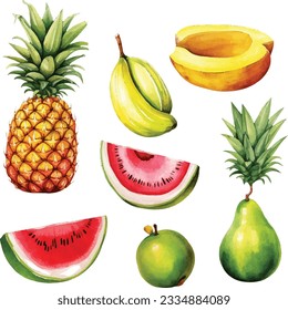 Watercolor hand painted fruit set pineapple, banana, pomegranate, mango, cherry, watermelon and tropical fruits on white background.