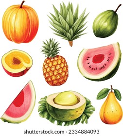 Watercolor hand painted fruit set pineapple, banana, pomegranate, mango, cherry, watermelon and tropical fruits on white background.