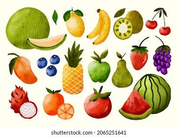 Watercolor Hand painted fruits graphic object Illustration collection