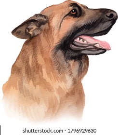 Watercolor Hand Painted German Shepard Dog Illustration