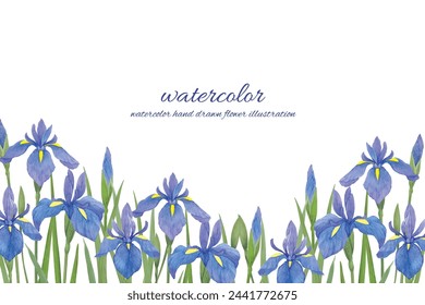 watercolor hand painted irises flower background