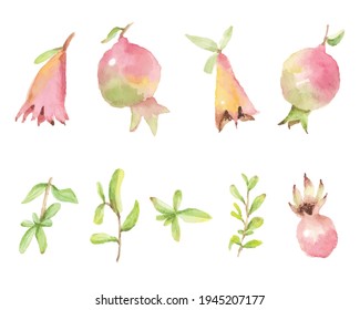 watercolor hand painted pomegranate elements isolated on white background