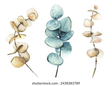 Aquarell handgemalte Set von blau und beige Eukalyptus Zweige. Vektor-nachgezeichnete isolierte Blumenillustration auf weißem Hintergrund Sammlung.