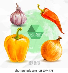 Watercolor hand painted vegetables set. Eco food illustration. Watercolor green background. Garlic, chili pepper, bell pepper and onion. Hot and spicy.