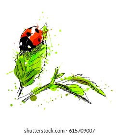 Watercolor hand sketch ladybug. Vector illustration