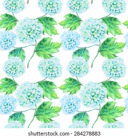 Watercolor hand-drawing vector pattern with beautiful guelder  flowers