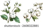 Watercolor Hand-Drawn Cotton Plant Stem with Leaves on White Background