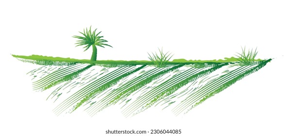 watercolor hand-drawn green fields with crops and grasses illustration design