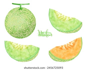 Conjunto de ilustraciones dibujadas a mano de acuarela de varios tipos de melones