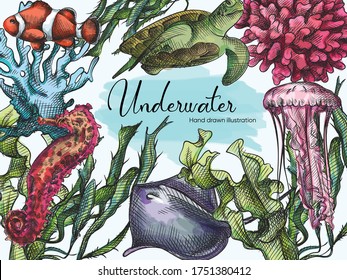 Watercolor Hand-drawn sketch set of Underwater creatures drawn with blue pen on a white background. Ocean life. Aquarium plants and animals. Coral, turtle, jellyfish, sea weed, crampfish


