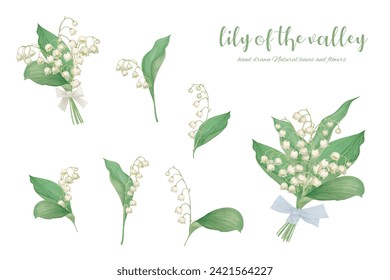 Watercolor hand-painted lily of the valley illustration material