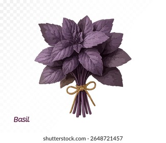 Watercolor handpainted tied bunch of purple basil leaves with realistic shading and soft brush detail. Vector illustration