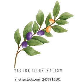 Watercolor Happy Hanukkah with olive. Vector Illustration