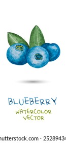 Watercolor healthy life collection: Blueberry