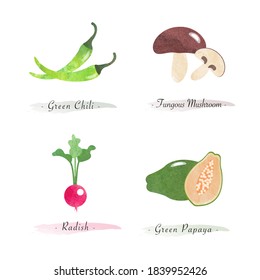 Watercolor healthy nature organic plant vegetable food ingredient green chili fungous mushroom radish green papaya