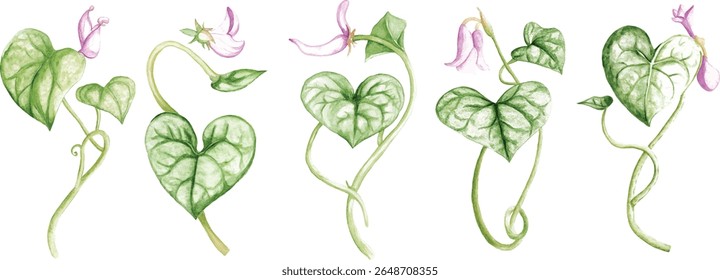 Watercolor Heart-Shaped Leaf with Flower vector illustration