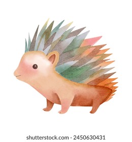 Watercolor hedgehog. Woodland animals. Hand drawn hedgehog. Clip art image.
