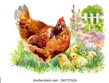 Watercolor Hen and chicks in yard vector illustration