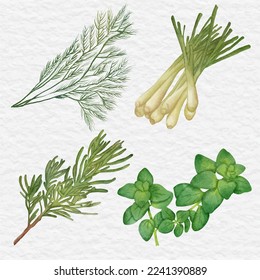 watercolor herb and ingredient clip art illustration