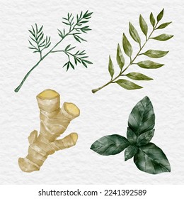 watercolor herb and spice element